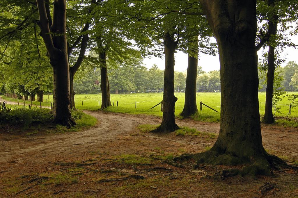 Landgoed Ehzerwold Hotel 3*